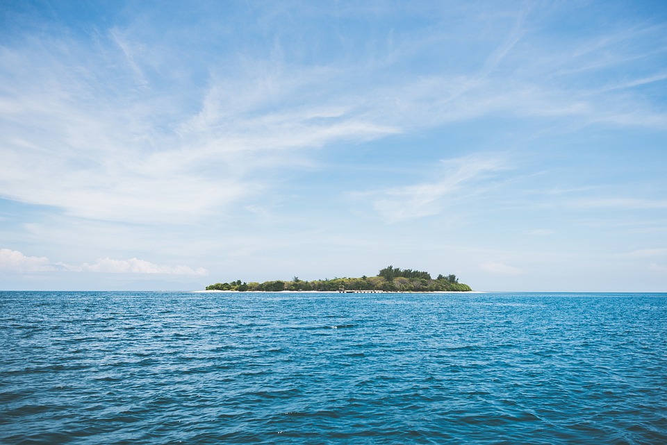 Bog Island: A Photographer’s Dream with Stunning Landscapes and Wildlife