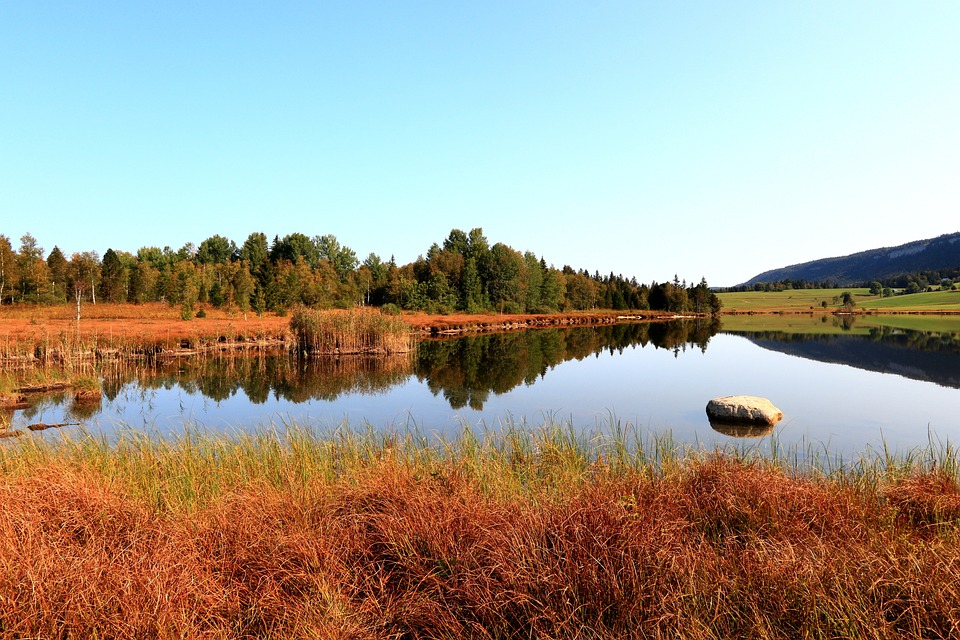 The Unique Ecosystem of Bog Island: A Natural Wonder to Discover