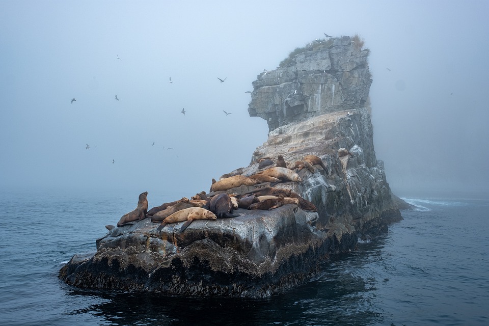 Uncovering the Secrets of Bog Island: A Guide to its History and Geology